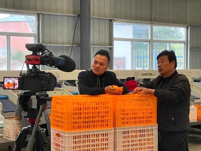植血橙发家致富年销售额高达3000多万开元棋牌网站2022年四川一男子靠种(图3)